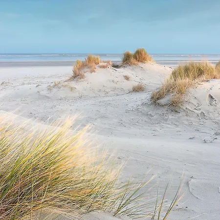 Fox Scheveningen Hotell 2*