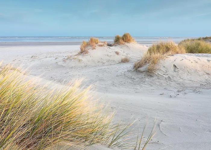 Fox Scheveningen فندق 2*