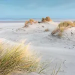 Fox Scheveningen Hotel 2*